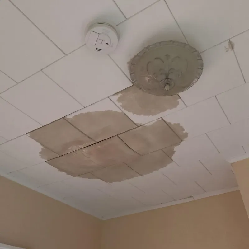 Ceiling Water Damage Repair in Coldwater, KS