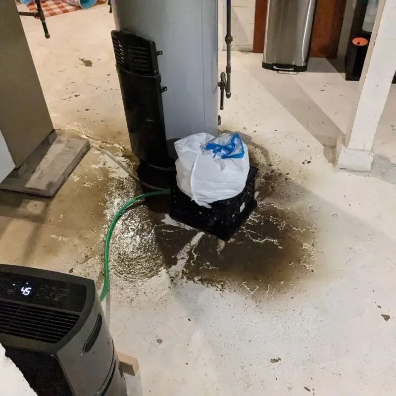 Sewage Backup Cleanup Service in Coldwater, KS
